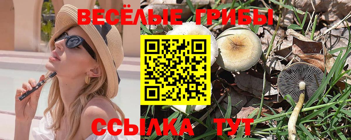 Псилоцибиновые грибы мицелий Димитровград