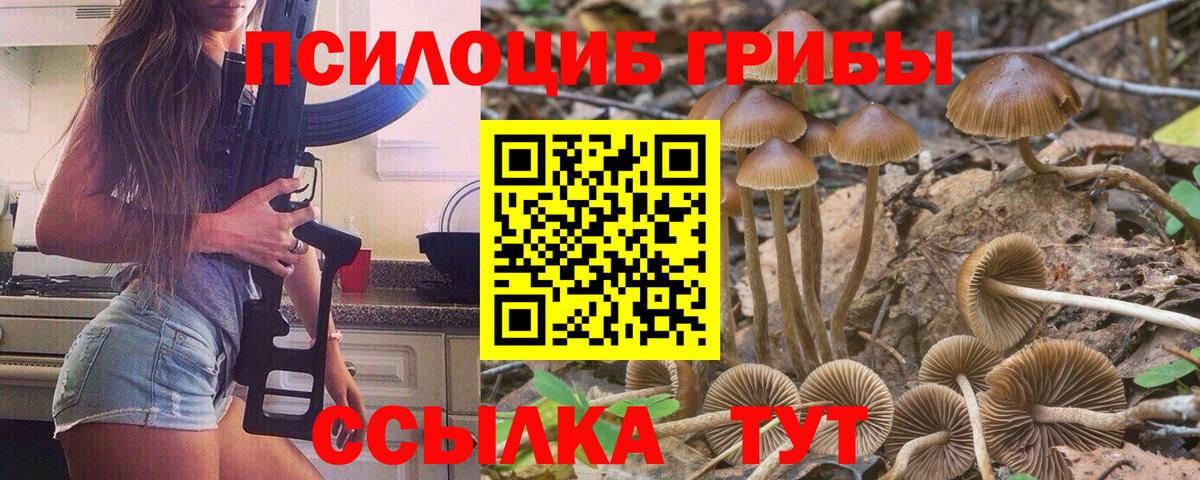 Галлюциногенные грибы прущие грибы  Вход с VPN  Димитровград 